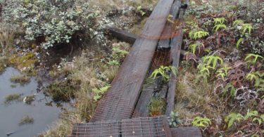 Photograph of rotten and broken planks on a hiking trail in Kauai, HI